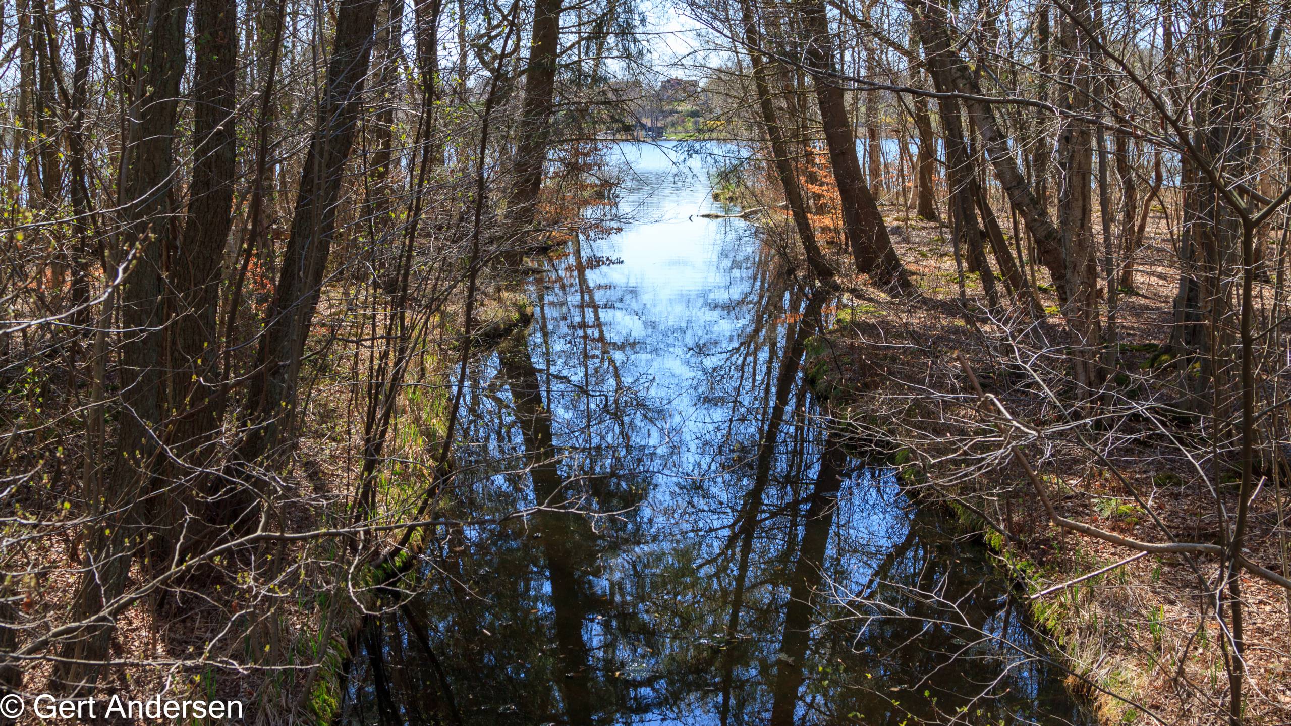 Lyngby Sø (22 of 37) compressed